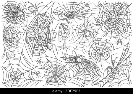 Hand drawn spider and web. Cobweb and spider, symbols of horror danger doodle set background Stock Vector