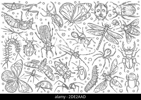 Hand drawn insects ant and butterfly. Stock Vector