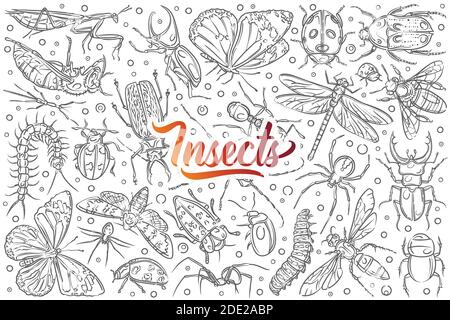 Hand drawn insects ant and butterfly. Stock Vector