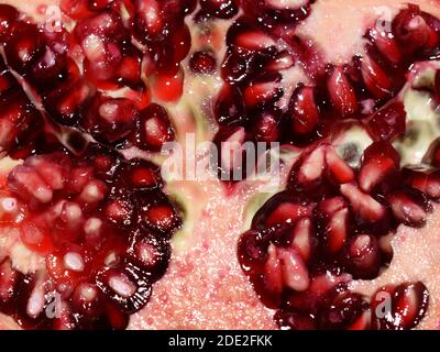 Cross section of pomegranate red fruit isolated on white background Stock Photo