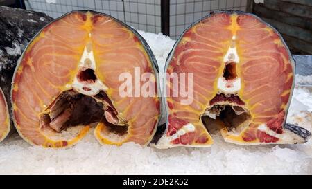 Cuts of Sturgeon Fish on ice in a fish market, with their typical pink-reddish meat and golden yellow fat. The roe of the sturgeon fish is the prized Stock Photo