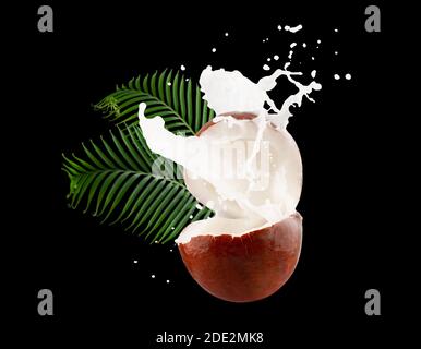 coconuts with milk splash and palm leaves on a black background. Stock Photo