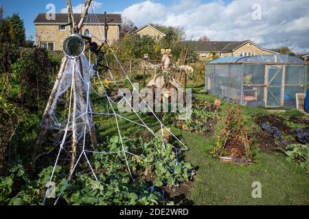 am allotment with pumpkin patch and halloween decorations Stock Photo