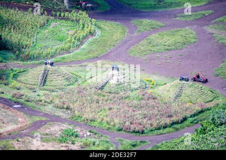 Tourists riding ATVs near the Chocolate Hills in Bohol, Philippines Stock Photo