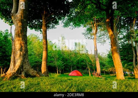 Wild camping at Chanctonbury Ring, South Downs Way, England Stock Photo