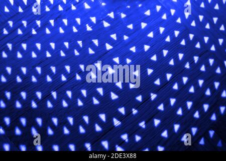 Wooden solar background pattern in blue and white Stock Photo