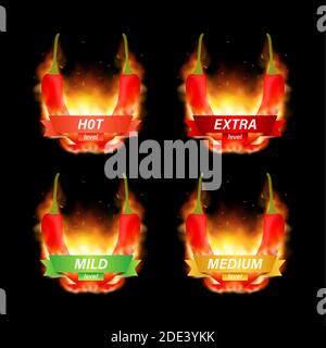 Hot red pepper strength scale indicator with mild, medium, hot and hell positions. Vector illustration. Stock Vector