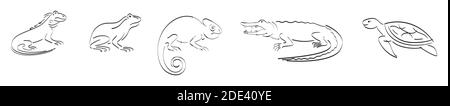 Black outline set of crocodile, turtle, chameleon, lizard, frog Stock Vector