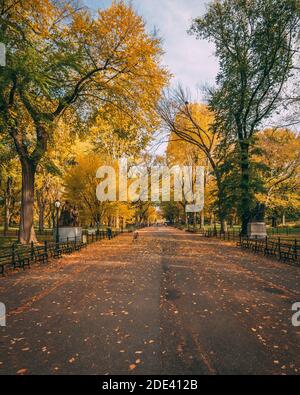 Autumn park landscape with deciduous trees displaying colorful foliage ...