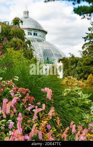 Enid A. Haupt Conservatory and pond with water lilies Greenhouse, New York Botanical Garden, Bronx, New York City, New York State, USA. Stock Photo