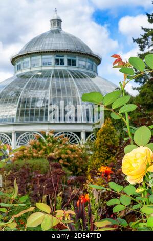 Enid A. Haupt Conservatory and pond with water lilies Greenhouse, New York Botanical Garden, Bronx, New York City, New York State, USA. Stock Photo