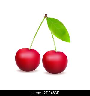 Ripe red cherry berries with leaves. Vector stock illustration. Stock Vector