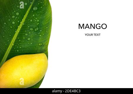Mango with banana leave on a white background. Tropical abstract background. Flat lay. Copy space. Stock Photo