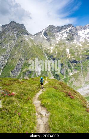 Hiker on the descent from the Moerchnerscharte to the Greizer Hut, behind Greizer Spitze and Lappenspitze, Berliner Hoehenweg, Zillertal Alps Stock Photo