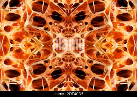 PHOTOMONTAGE, Graphic structure, detail, chambers, indeterminate sponge (Porifera) Interior, Indian Ocean, Gangga Island, Bangka Islands, North Stock Photo