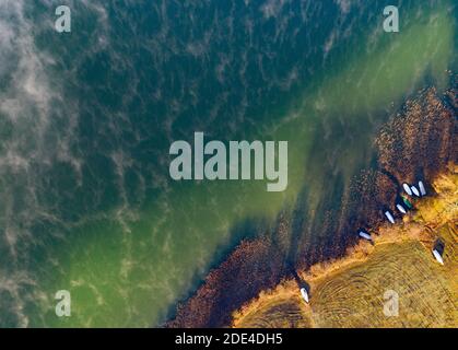 Wafts of fog at Irrsee with fishing boats in the reed belt, ground fog, from above, drone photo, aerial view, Zell am moss, Salzkammergut, Upper Stock Photo