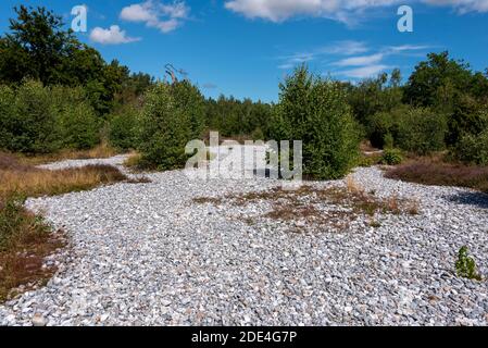 Flintstone fields, scree fields between Mukran and Prora, Mecklenburg-Vorpommern, Germany Stock Photo