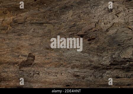 Rough and old dark brown wood texture background. Stock Photo