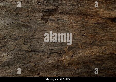 Rough and old dark brown wood texture background. Stock Photo