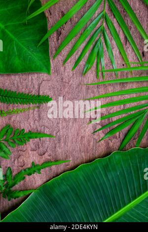 Vertical portrait wallpaper of natural bright green tropical jungle flat lay background of banana, palm and colocasia leaves in wooden backdrop. Stock Photo