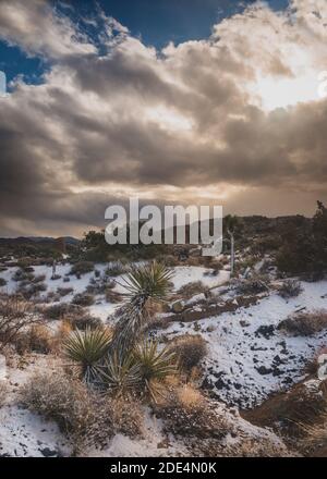 winter in the desert Stock Photo