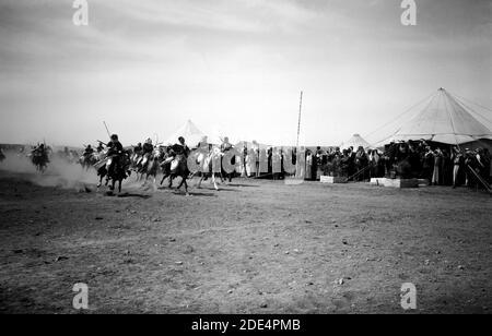 Bedouin Wedding Series Mounted Bedouins Racing from Matson Collection ...