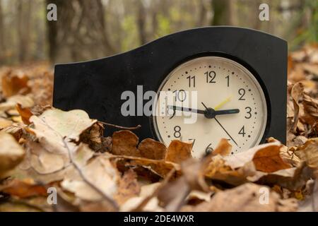 Vintage table clock among fallen autumn leaves Stock Photo