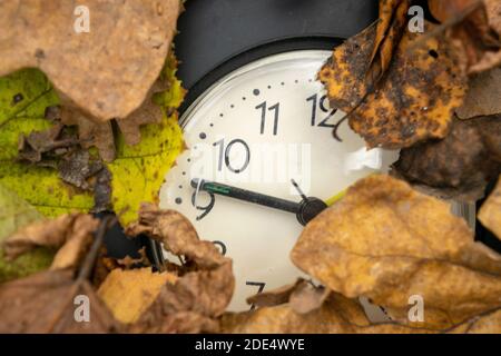 Vintage table clock among fallen autumn leaves Stock Photo