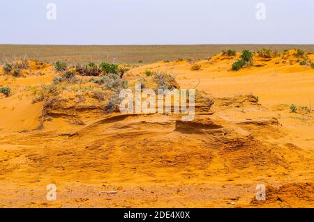 Panorama of the semi-desert with withered grass. Stock Photo