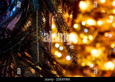 Abstract background yellow bokeh lights and branches of a tree in winter, Christmas background, cozy and warm feelings Stock Photo