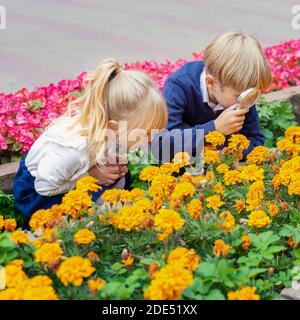 children playing in the city park looking at flowers with a magnifying glass Stock Photo