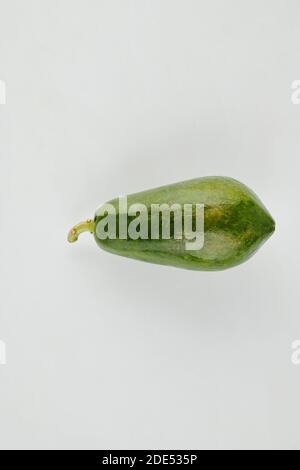 Fresh green marrow squash Stock Photo