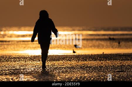 Woman walking alone on a beach in the evening at sunset with the low sun reflecting in the beach at low tide in the UK. Stock Photo