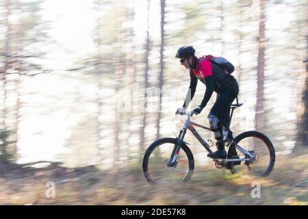 Man riding a mountain bike in a forest on a sunny day - motion blurred Stock Photo
