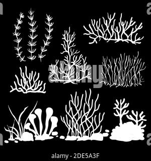 a set of vector silhouettes of algae and corals isolated on a black background Stock Vector