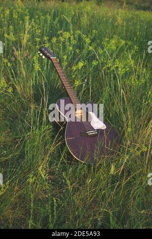 acoustic guitar on the grass. musical instrument guitar in flowers. classic  Stock Photo