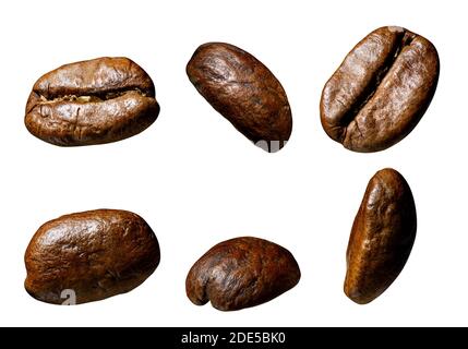 set of coffee beans Stock Photo