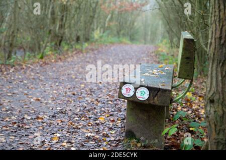 Shorne Country Park, Kent. UK. A woodland bench with a country path leading off into the distance. Stock Photo