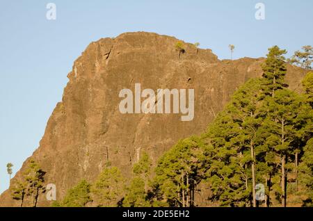 Cliff of the Morro del Visadero. Integral Natural Reserve of Inagua. Tejeda. Gran Canaria. Canary Islands. Spain. Stock Photo