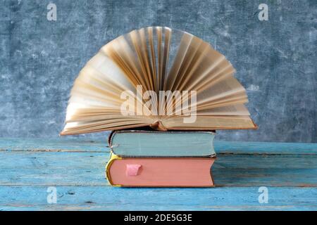 opened book with blurred pages.Reading,literature,education,library,home office concept, copy space Stock Photo