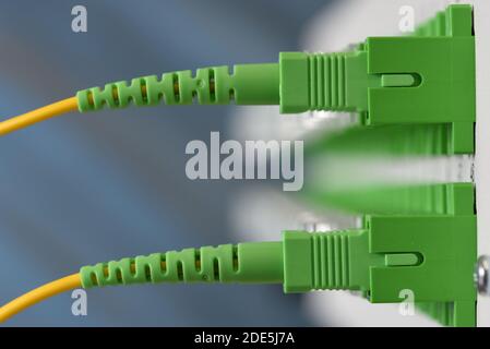 Distribution panel with connected optical patch cord cables close-up Stock Photo