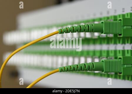 Distribution panel with connected optical patch cord cables Stock Photo