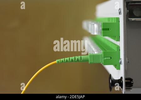 Optical distribution panel with connected patch cord cable Stock Photo ...