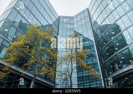 Modern glass office buildings in London, cityscape showing urban architecture and orange autumn trees, England, UK, Europe Stock Photo