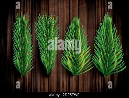 Fir Branches Set. Christmas Tree. Vector Illustration. Pine Sprigs on Wooden Background. Stock Vector