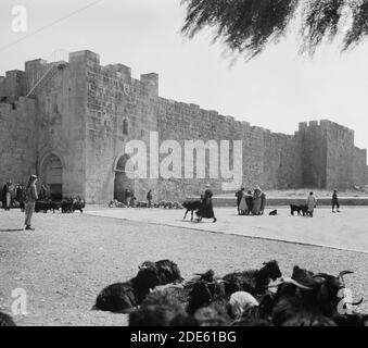 Original Caption:  Herod's Gate  - Location: Jerusalem ca.  1940-1946 Stock Photo
