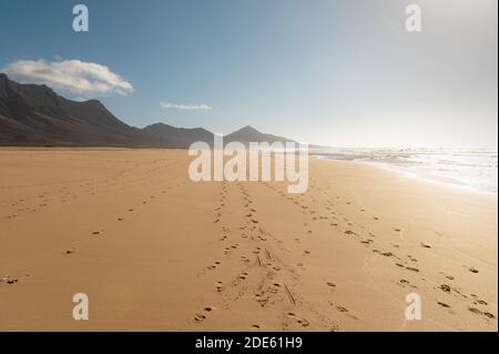 Footprints in sand on Cofete beach, Fuerteventura island, Canary islands, Spain Stock Photo