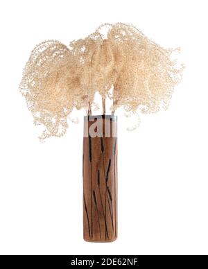 Vase with dry prairie grass isolated on white background Stock Photo