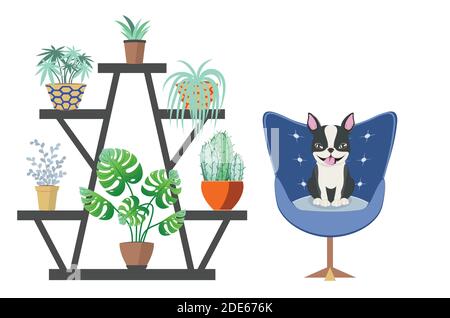 Simple room design with Boston terrier, art chair and house plants illustration. Stock Vector