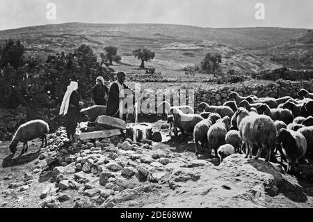 'Middle East History - Set of thirteen select slides of shepherd life illustrating the Twenty-Third Psalm. ''My cup runneth over''' Stock Photo